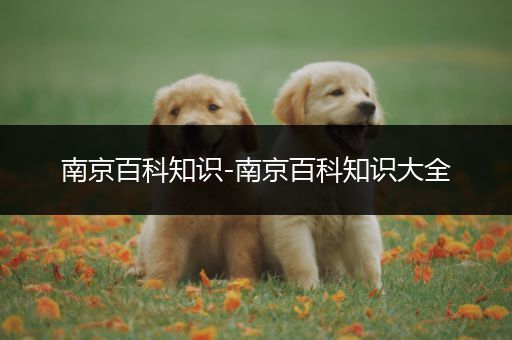 南京百科知识-南京百科知识大全