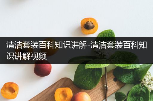 清洁套装百科知识讲解-清洁套装百科知识讲解视频