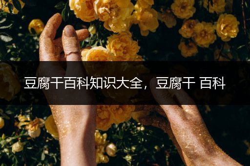 豆腐干百科知识大全，豆腐干 百科