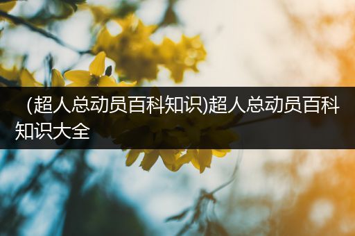 （超人总动员百科知识)超人总动员百科知识大全