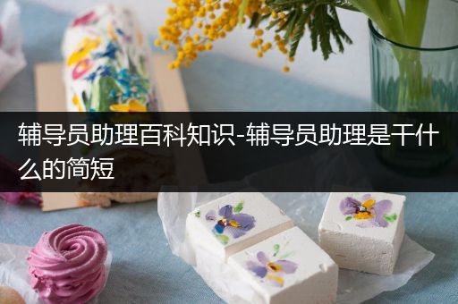 辅导员助理百科知识-辅导员助理是干什么的简短