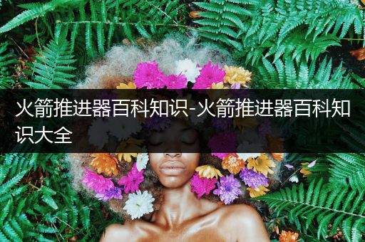 火箭推进器百科知识-火箭推进器百科知识大全