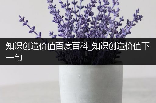 知识创造价值百度百科_知识创造价值下一句