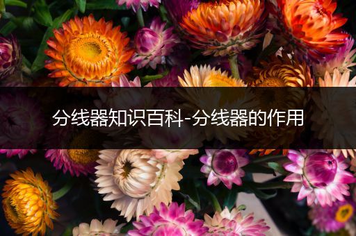 分线器知识百科-分线器的作用