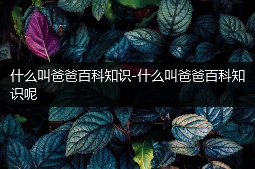 什么叫爸爸百科知识-什么叫爸爸百科知识呢