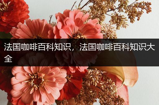 法国咖啡百科知识，法国咖啡百科知识大全