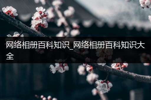 网络相册百科知识_网络相册百科知识大全