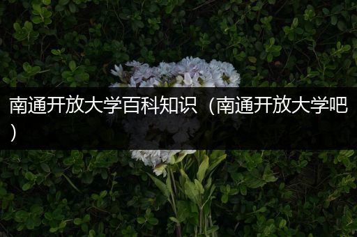 南通开放大学百科知识（南通开放大学吧）