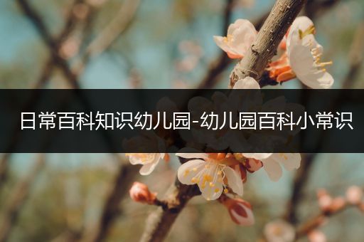 日常百科知识幼儿园-幼儿园百科小常识