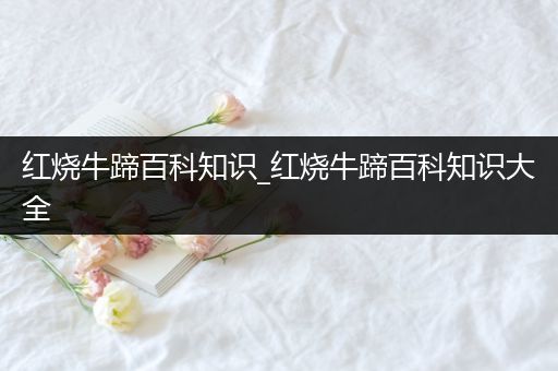 红烧牛蹄百科知识_红烧牛蹄百科知识大全