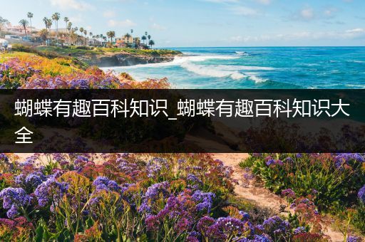 蝴蝶有趣百科知识_蝴蝶有趣百科知识大全