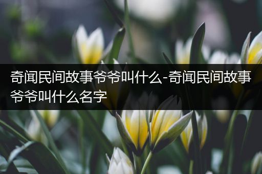 奇闻民间故事爷爷叫什么-奇闻民间故事爷爷叫什么名字
