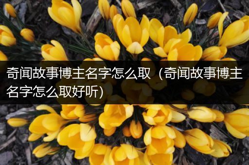 奇闻故事博主名字怎么取（奇闻故事博主名字怎么取好听）