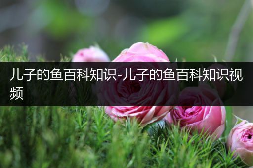 儿子的鱼百科知识-儿子的鱼百科知识视频