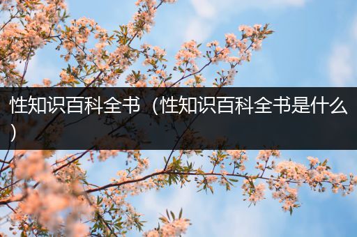 性知识百科全书（性知识百科全书是什么）