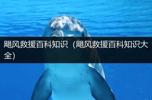 飓风救援百科知识（飓风救援百科知识大全）