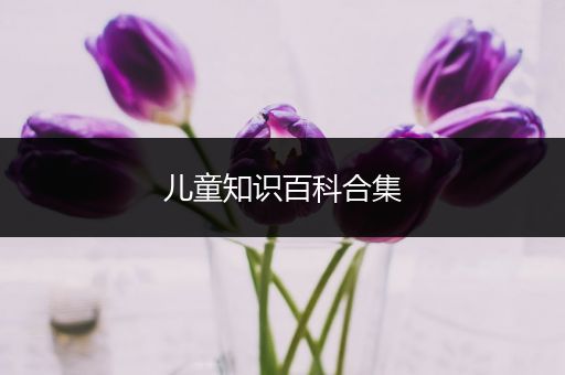儿童知识百科合集