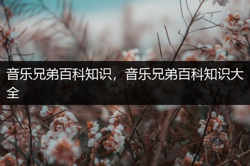 音乐兄弟百科知识，音乐兄弟百科知识大全