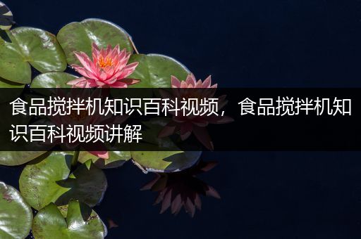 食品搅拌机知识百科视频，食品搅拌机知识百科视频讲解