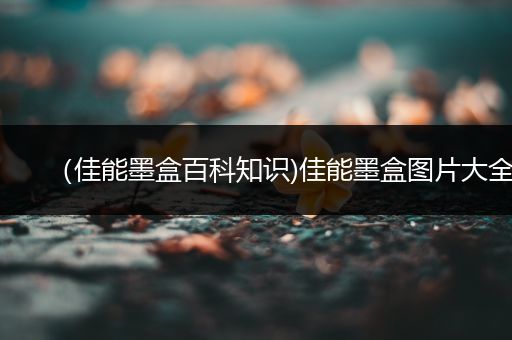 （佳能墨盒百科知识)佳能墨盒图片大全