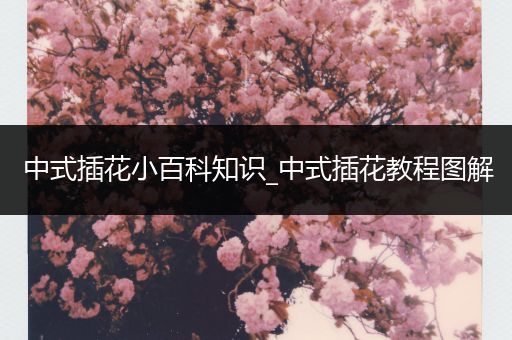 中式插花小百科知识_中式插花教程图解