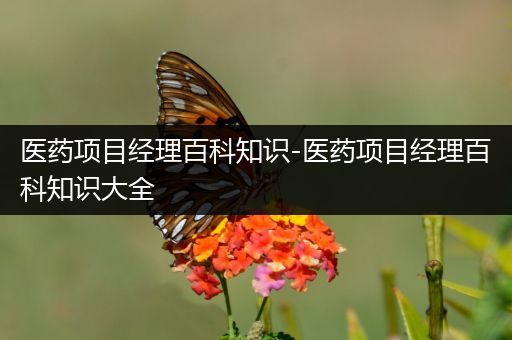 医药项目经理百科知识-医药项目经理百科知识大全