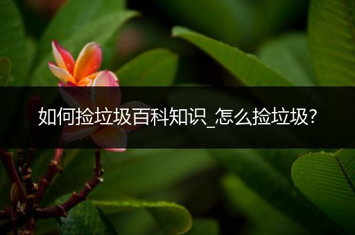 如何捡垃圾百科知识_怎么捡垃圾?