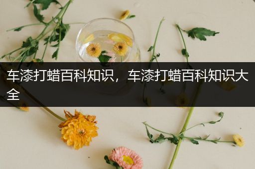 车漆打蜡百科知识，车漆打蜡百科知识大全