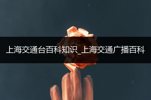 上海交通台百科知识_上海交通广播百科