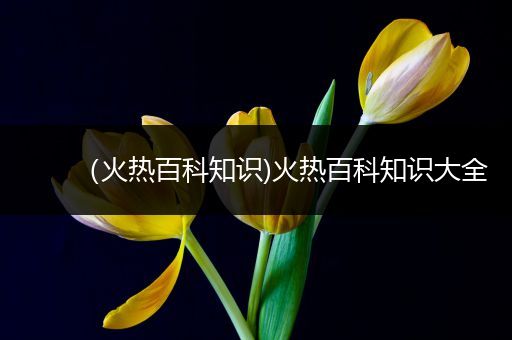 （火热百科知识)火热百科知识大全