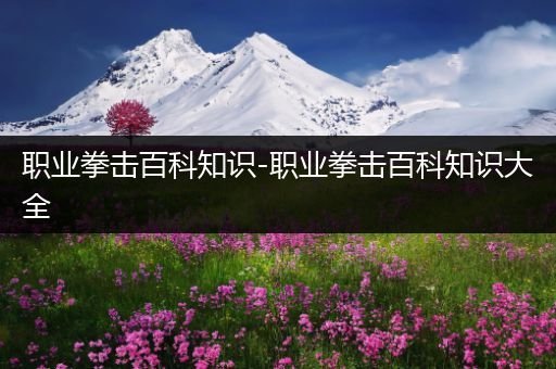 职业拳击百科知识-职业拳击百科知识大全