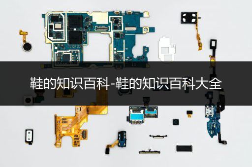 鞋的知识百科-鞋的知识百科大全