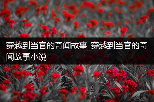 穿越到当官的奇闻故事_穿越到当官的奇闻故事小说