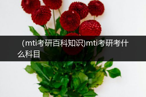 （mti考研百科知识)mti考研考什么科目
