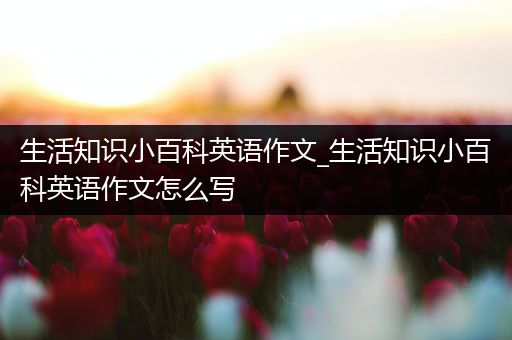 生活知识小百科英语作文_生活知识小百科英语作文怎么写