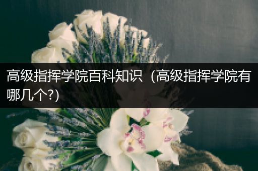 高级指挥学院百科知识（高级指挥学院有哪几个?）