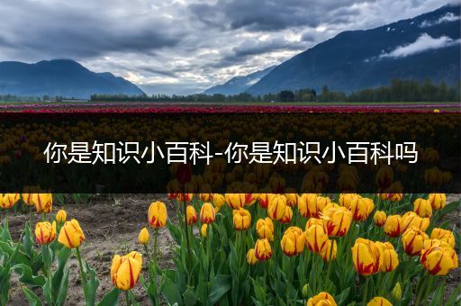你是知识小百科-你是知识小百科吗