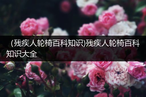 （残疾人轮椅百科知识)残疾人轮椅百科知识大全