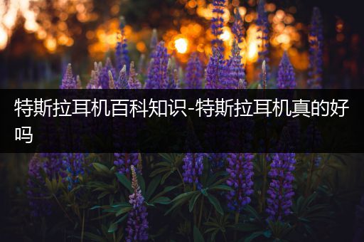 特斯拉耳机百科知识-特斯拉耳机真的好吗