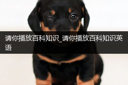 请你播放百科知识_请你播放百科知识英语