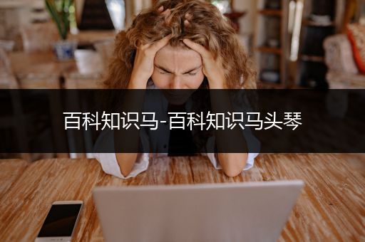 百科知识马-百科知识马头琴