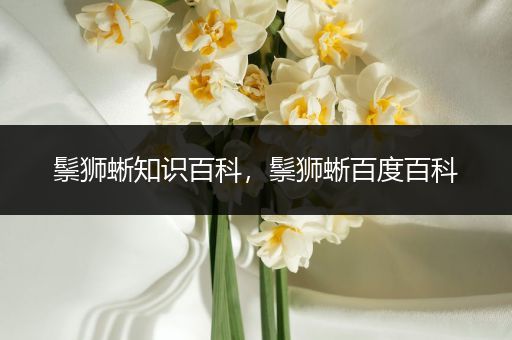 鬃狮蜥知识百科，鬃狮蜥百度百科