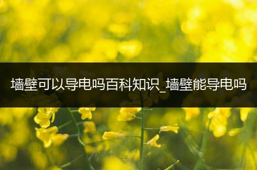 墙壁可以导电吗百科知识_墙壁能导电吗