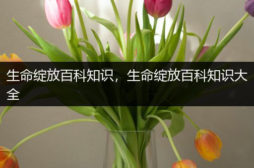 生命绽放百科知识，生命绽放百科知识大全