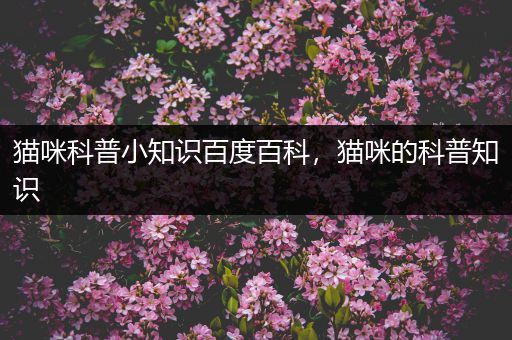 猫咪科普小知识百度百科，猫咪的科普知识