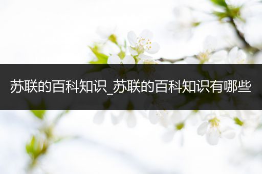 苏联的百科知识_苏联的百科知识有哪些