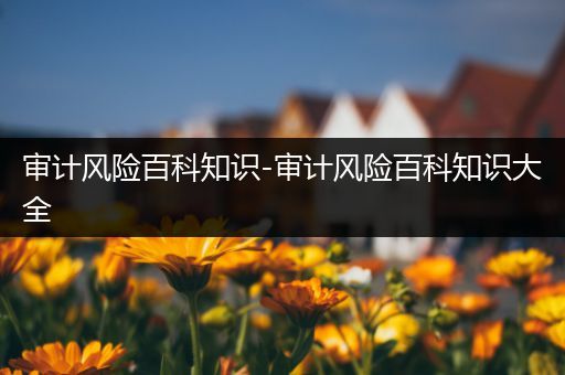 审计风险百科知识-审计风险百科知识大全