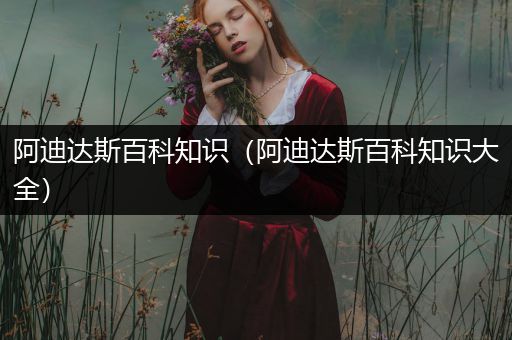 阿迪达斯百科知识（阿迪达斯百科知识大全）