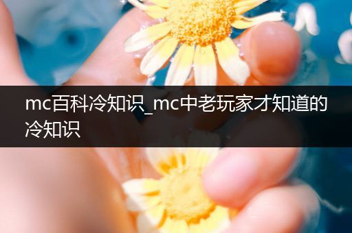 mc百科冷知识_mc中老玩家才知道的冷知识