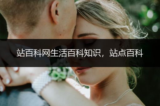 站百科网生活百科知识，站点百科